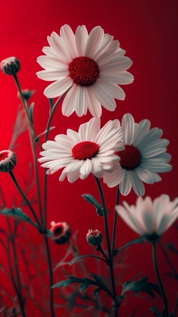 artistic flower wallpaper