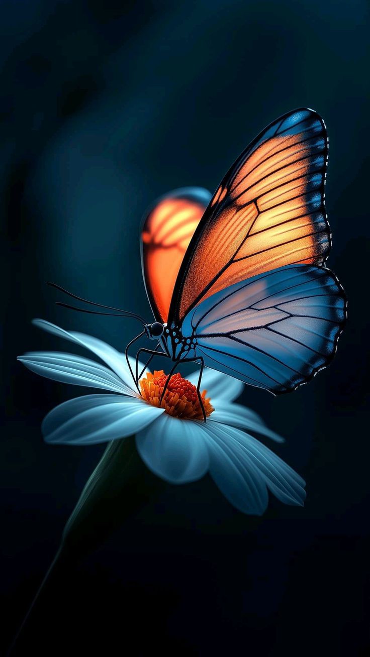 butterfly wallpaper gold 1