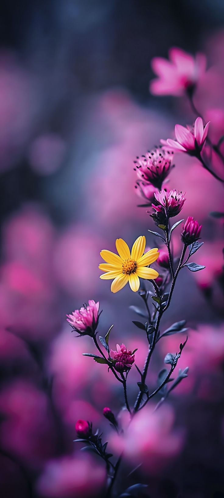 spring flower wallpaper 1