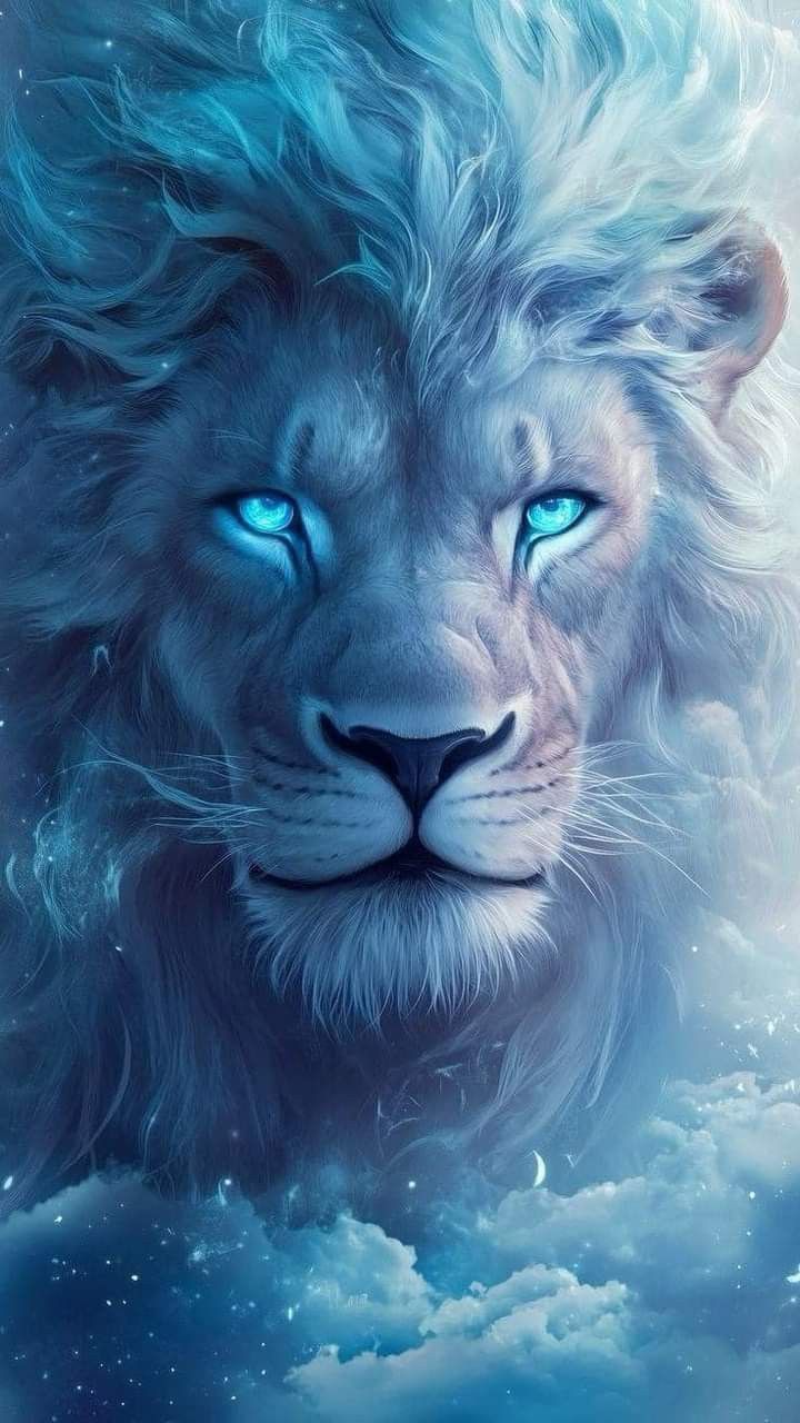 realistic lion wallpaper